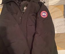 canada goose
