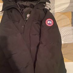 canada goose