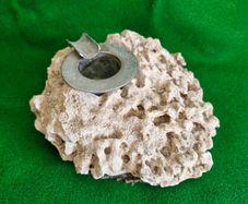 Vintage Fossilised Coral  Ashtray