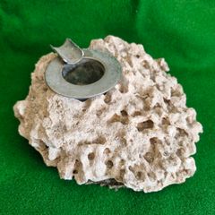 Vintage Fossilised Ashtray