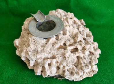 Vintage Fossilised Coral  Ashtray