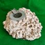 Vintage Fossilised Coral  Ashtray Image 10