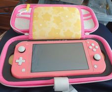 Ultimate Nintendo Switch Lite