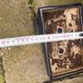 bonsai pot Image 4