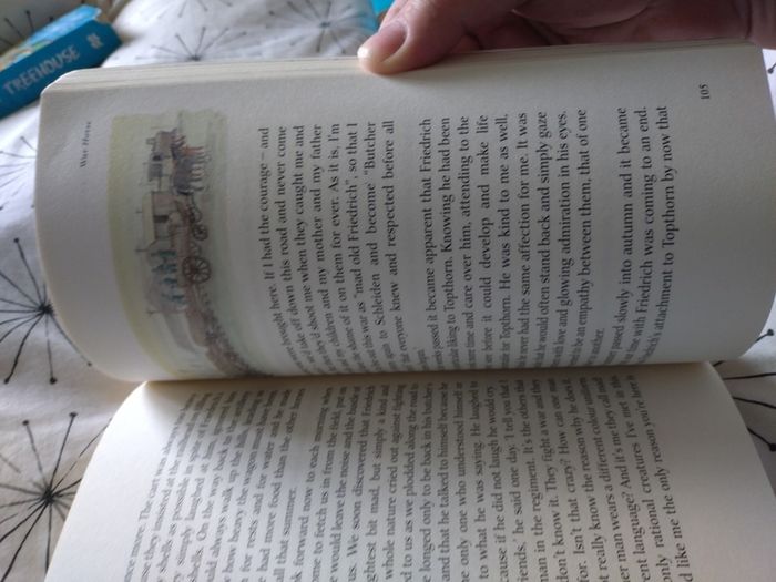War Horse by Michael Morpurgo