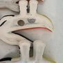 Original Carlton Ware Guinness Flying Toucan Wall Plaques X3 Image 7