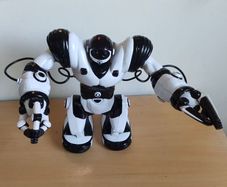 Wowwee Robosapien