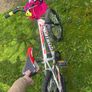 bike for girl Image 5
