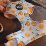 dog collar and harness Image 2