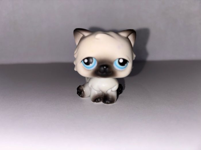littlest pet shops (LPS) Persian cat bundle!