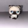 littlest pet shops (LPS) Persian cat bundle! Image 6