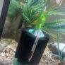 Fish tank Image 4