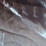 Double Sheet Set Image 5