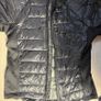 Canada goose hybridge Image 6