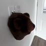 Bear plush wall mount Image 4