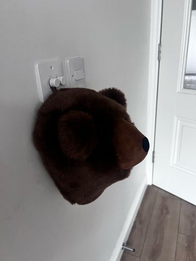 Bear plush wall mount
