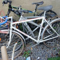 bikes