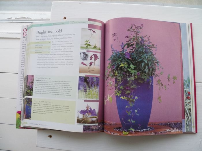Container Gardening by Paul Williams. Hardcover