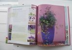 Container Gardening by Paul Williams. Hardcover