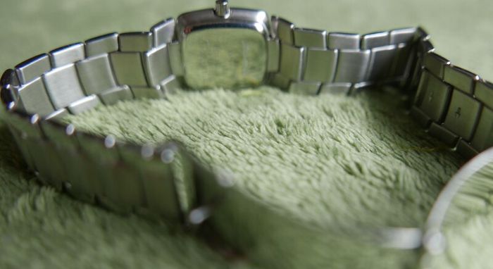 Zoom - Ladies Watch- Zx21046