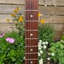 Squier Standard Series Stratocaster - EMG Image 8