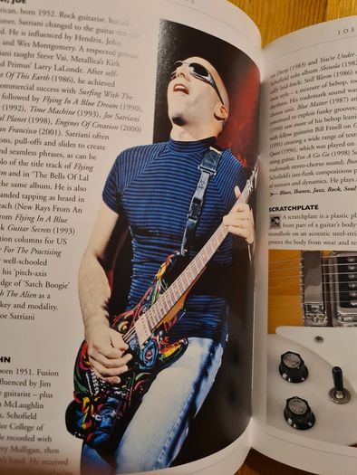 Guitar Facts. 242 Of Indispensable A-z Guide Of Everything  Guitar.