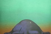 Oh Sees: Orc (2xLP, Album, Ltd, RP, Orange In Clear With Doublemint Splatter