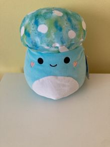 Mully the squishmallow