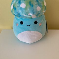 Mully the squishmallow