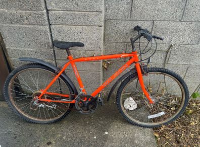 Wilson bike