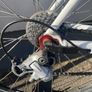Felt Road Bike Image 4