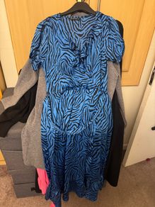 Blue zebra Dunne's dress