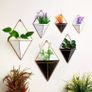 Flower Pot Storage Image 7