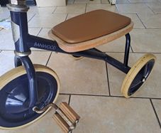 kids Trike