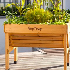 Veg trug container