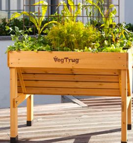 Veg trug container