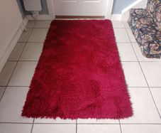 Rug/used