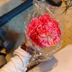 pink carnations artificial flowers on stems bundle wholesale
