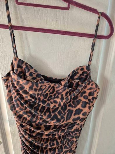 Zara Leopard Print Dress