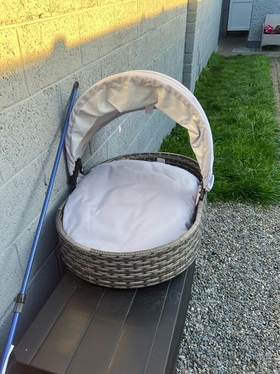 dog bed