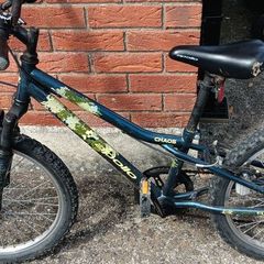 Boys bike 20 inch