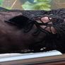 Karen Millen Velvet and Lace Dress RRP 285 Image 6