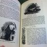An illustrated history of Ireland from AD 400 to 1800 by Mary Frances Cusack Image 6
