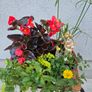 Small flower bowl Image 2