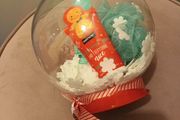 Christmas Beauty snow globe