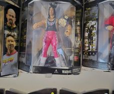 WWE Figures