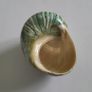 Polished -  'Jade Turbo' -  Shell Image 5