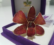 24K Gold Plating Real Orchid Brooch / Pendant A Nice Gift