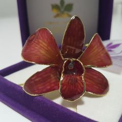24K Gold Plating Real Orchid Brooch / Pendant A Nice Gift