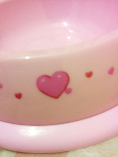 Small dog bowls